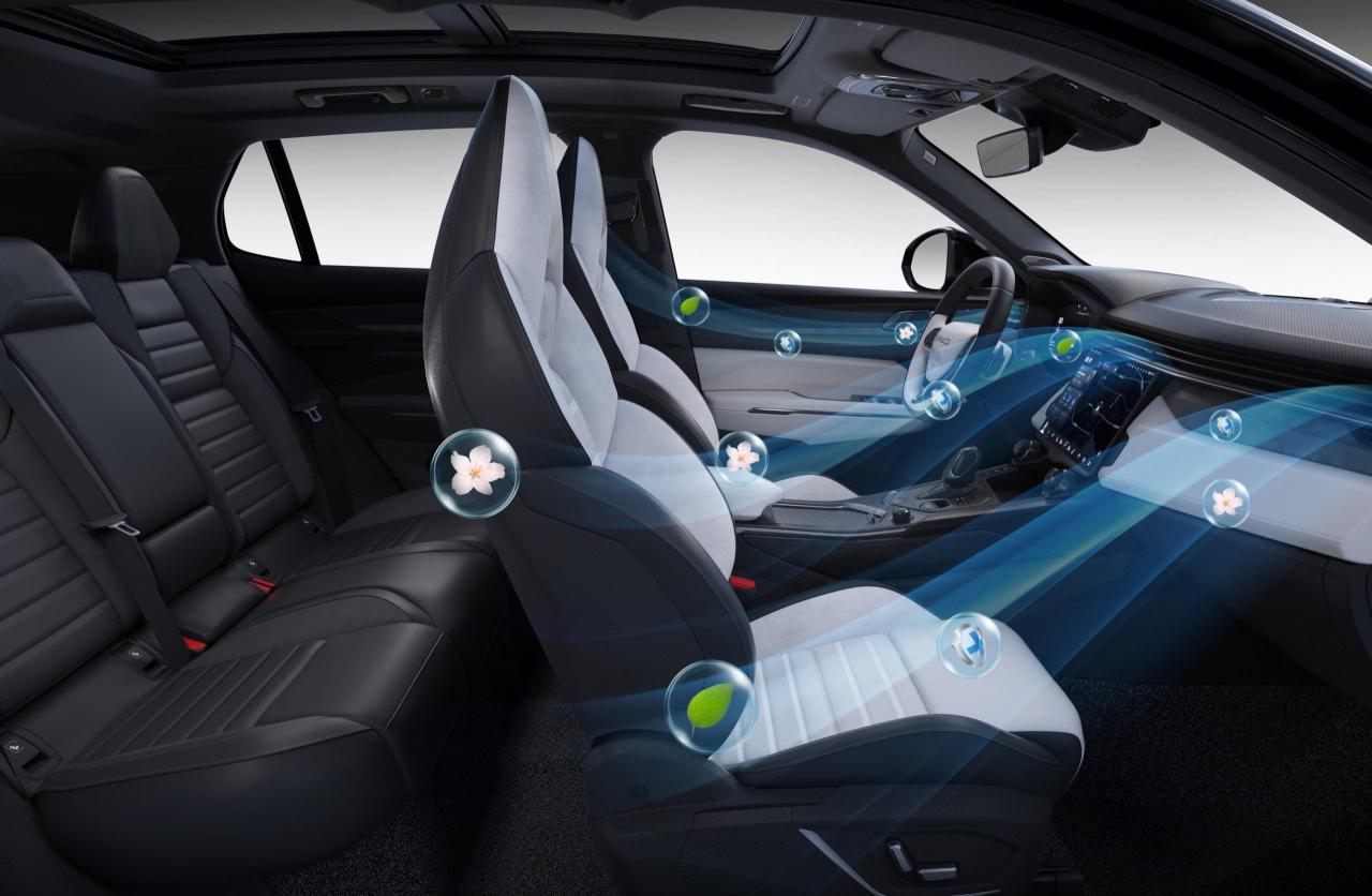 2 hàng ghế, điều hoà lynk&co 01